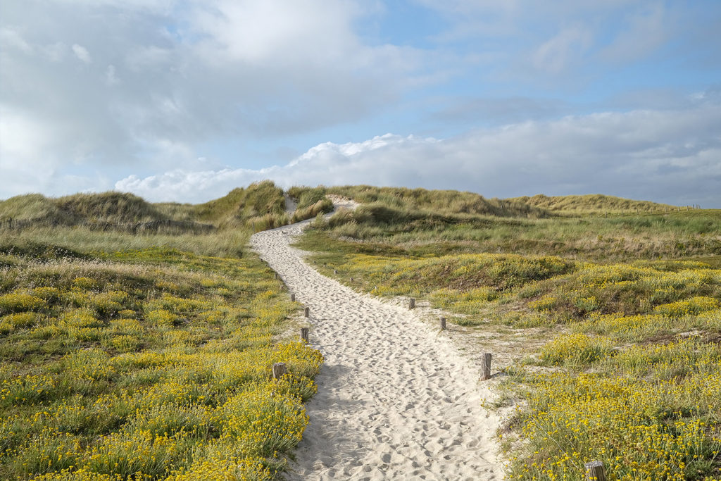 ba-photo-projet-bretagne-04