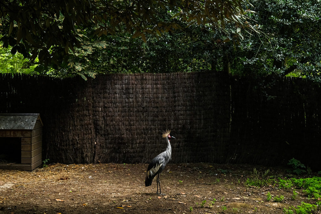 ba-photo-projet-hors-serie-08