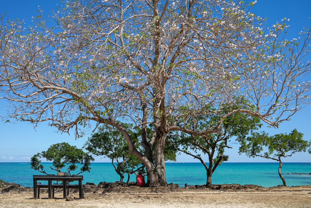 ba-photo-projet-voyages-07
