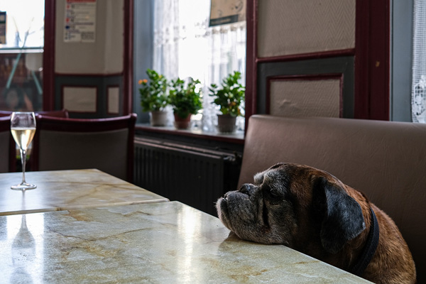 Drôle de monde - Miniature